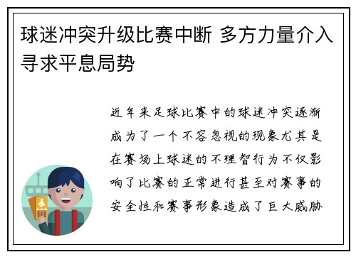 球迷冲突升级比赛中断 多方力量介入寻求平息局势